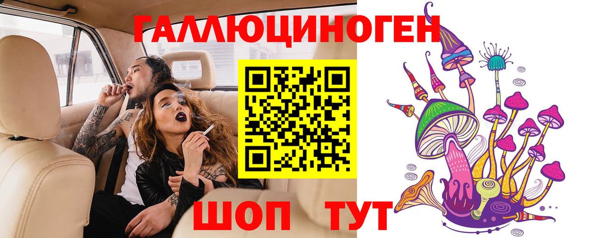 Лесной  Псилоцибиновые грибы Psilocybine cubensis  Вход с VPN 