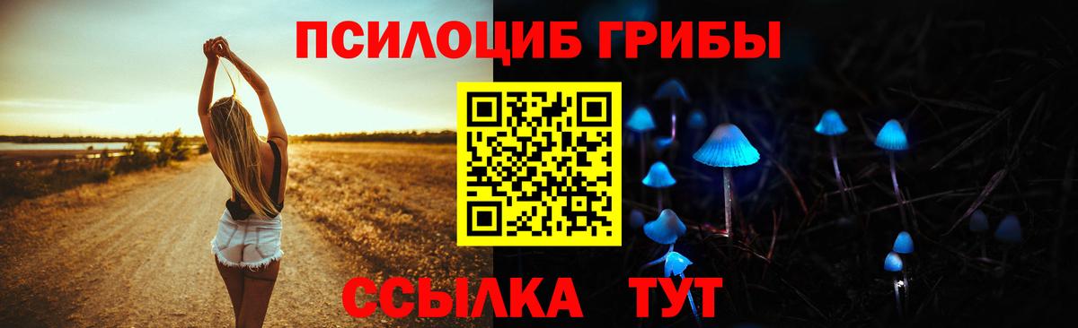 Псилоцибиновые грибы Psilocybine cubensis Лесной